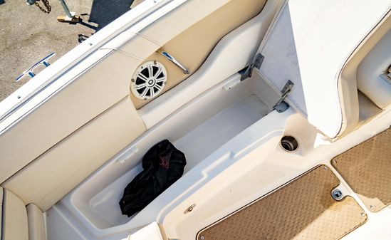 Sea-ray 240-SUNDECK-OUTBOARD image