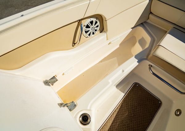 Sea-ray 240-SUNDECK-OUTBOARD image