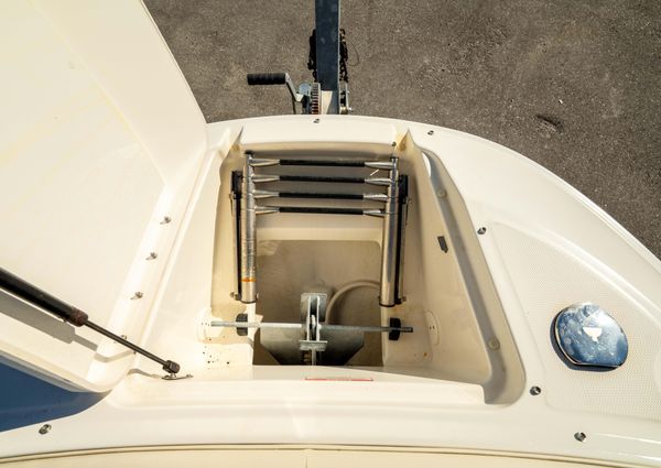 Sea-ray 240-SUNDECK-OUTBOARD image