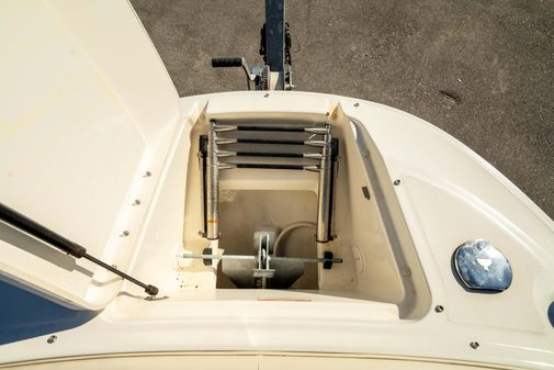 Sea-ray 240-SUNDECK-OUTBOARD image