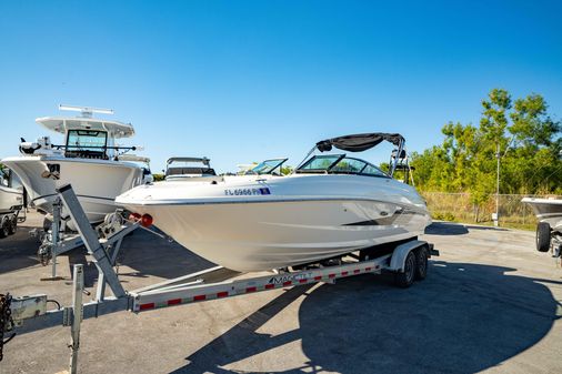 Sea-ray 240-SUNDECK-OUTBOARD image