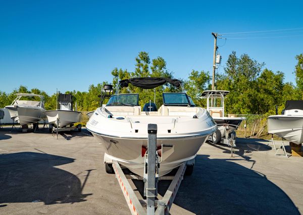 Sea-ray 240-SUNDECK-OUTBOARD image