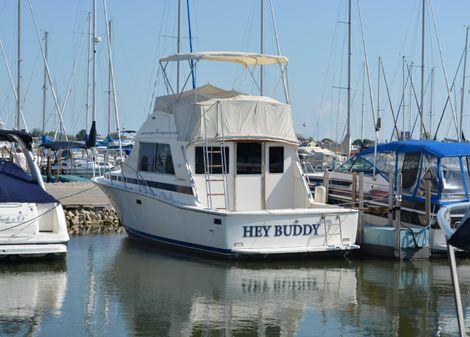 Bertram 33 Flybridge Cruiser image