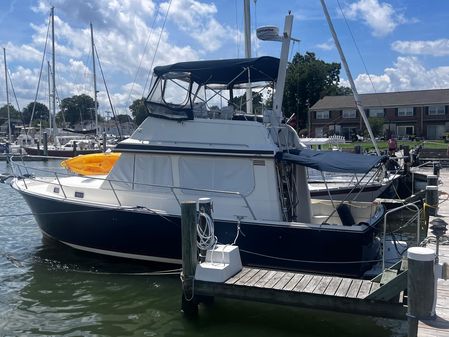 Sabre 34 flybridge image