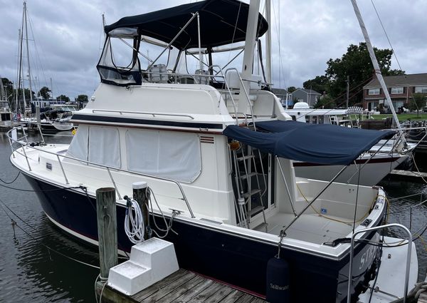 Sabre 34 flybridge image