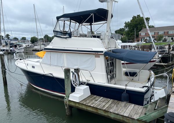 Sabre 34 flybridge image