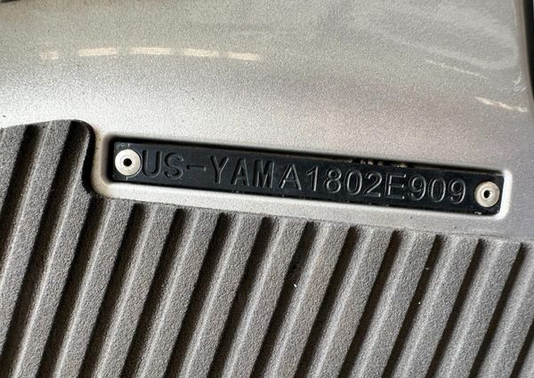 Yamaha-waverunner FX-CRUISER-H-O image