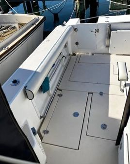 Albin 28 TE FLUSH DECK image