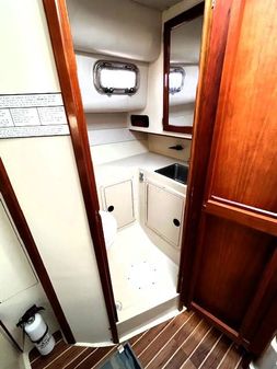 Albin 28 TE FLUSH DECK image