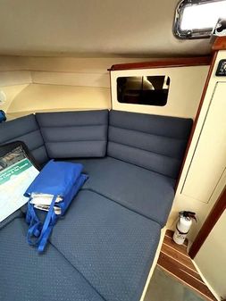 Albin 28 TE FLUSH DECK image