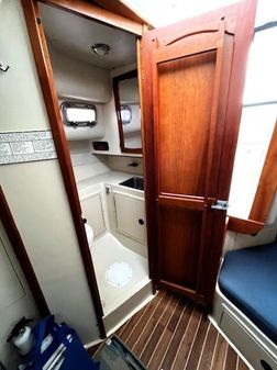 Albin 28 TE FLUSH DECK image