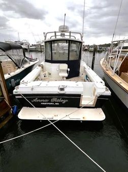 Albin 28 TE FLUSH DECK image