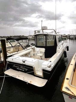 Albin 28 TE FLUSH DECK image