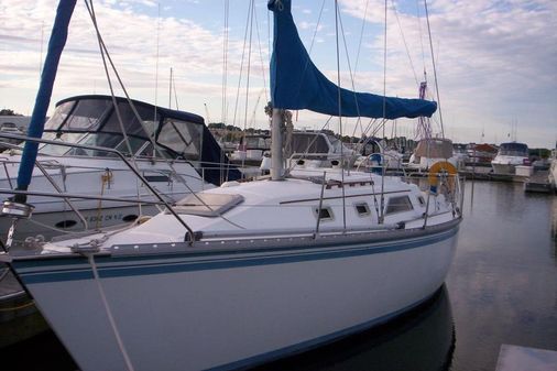 Hunter 31 image