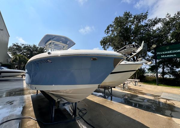 Robalo R242 Explorer image