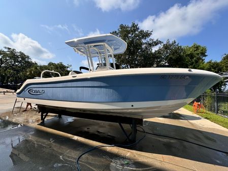 Robalo R242 Explorer image