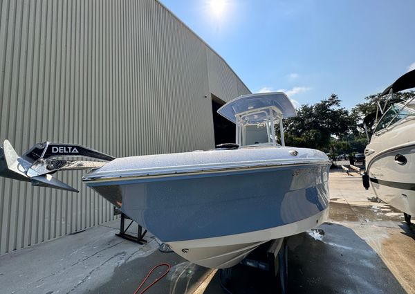 Robalo R242 Explorer image