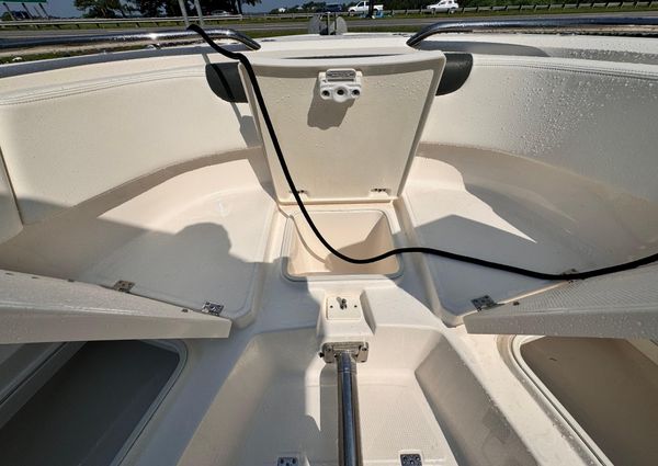 Robalo R242 Explorer image