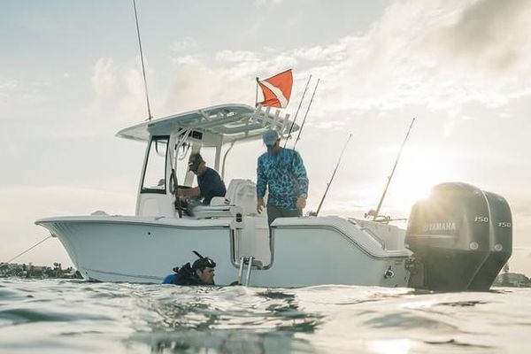 Sea Hunt Gamefish 25 - main image