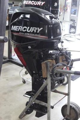 Mercury F25ELPT - main image