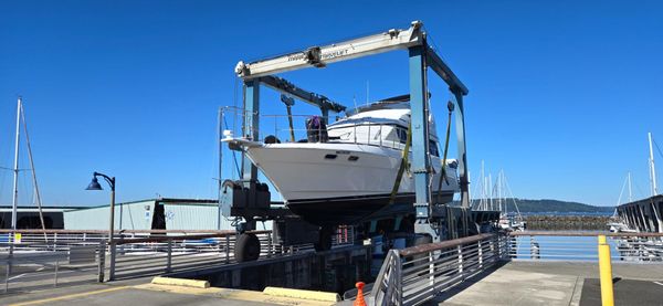 Bayliner 4388 Motoryacht image