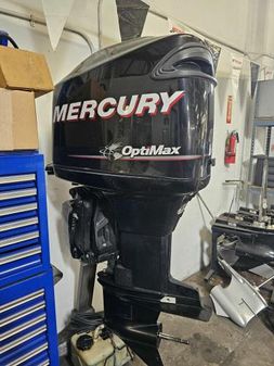 Mercury 175 OptiMax image