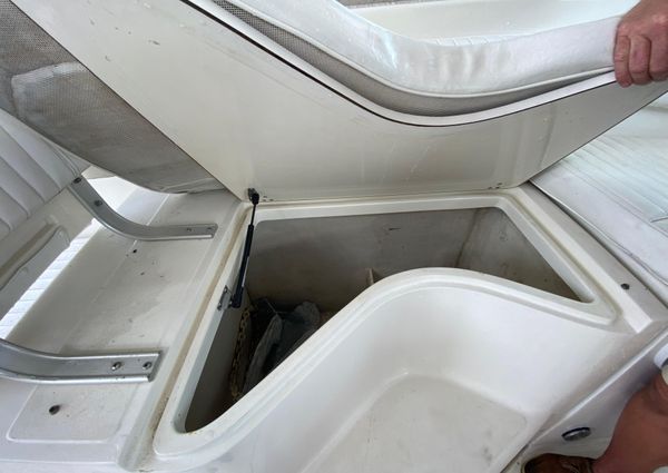 Boston-whaler 34-DEFIANCE image