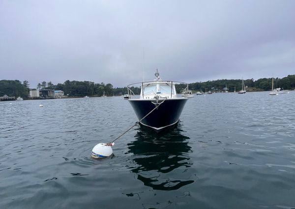 MJM 36z Downeast image