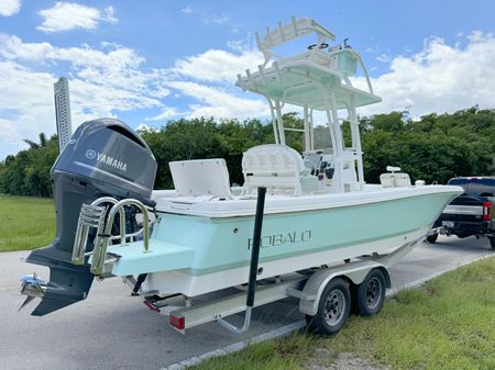 Robalo 246-CAYMAN-SD image