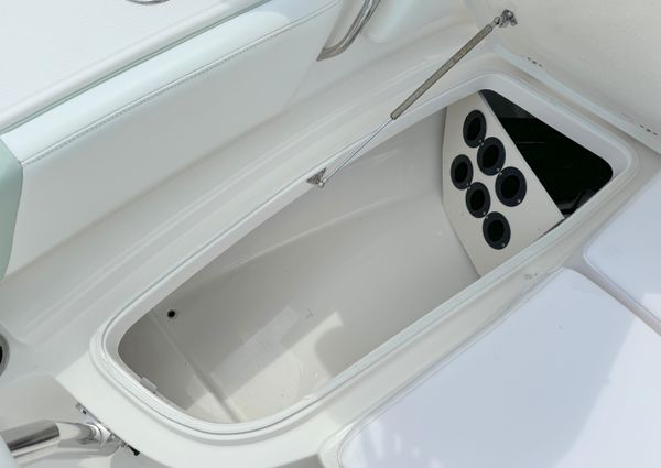 Robalo 246-CAYMAN-SD image