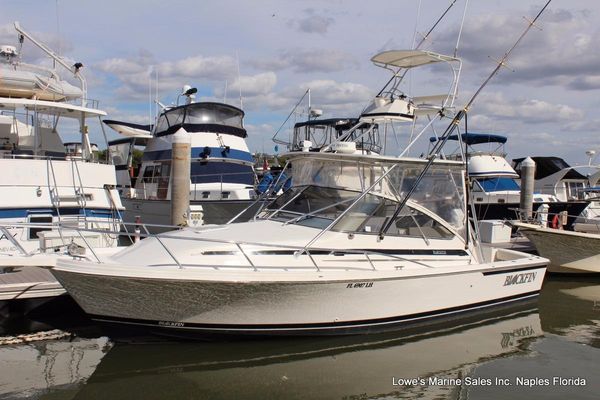 Blackfin 33 Combi - main image