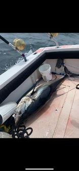 Albemarle 320-EXPRESS-FISHERMAN image