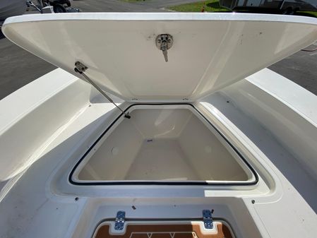 Pioneer 220 Bay Sport image