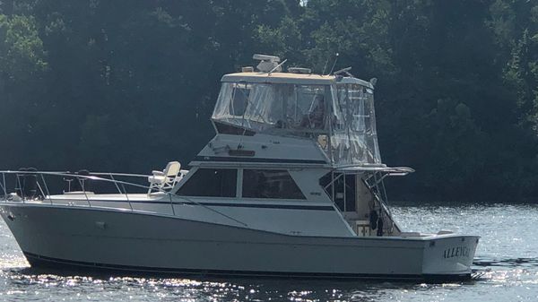 Viking 41 Convertible