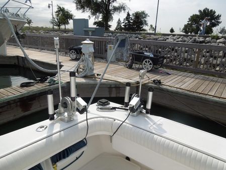 Luhrs 40 Open image