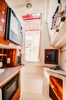 World Cat 290 EC image