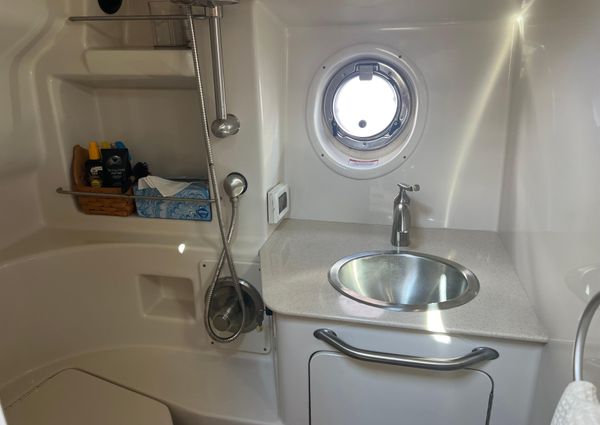 Sea Ray 350 Sundancer image