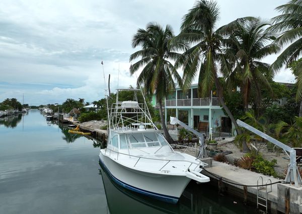 Luhrs 41 Open image