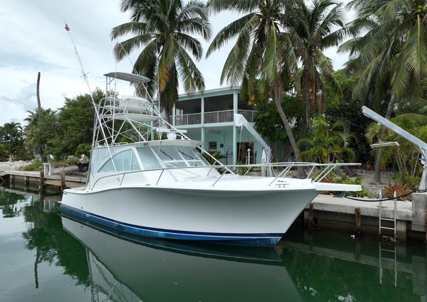 Luhrs 41 Open image