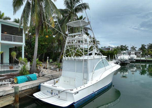 Luhrs 41 Open image