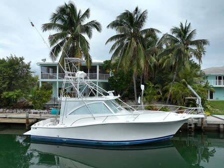 Luhrs 41 Open image