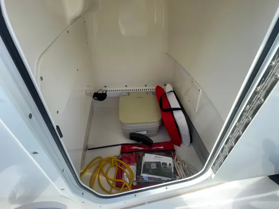 Boston-whaler 210-DAUNTLESS image