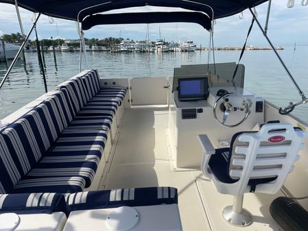 Beachcat 20-PONTOON image