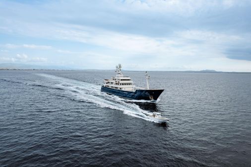 Royal Denship Custom image