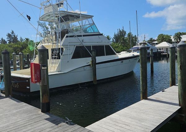 Hatteras 50-CONVERTIBLE image