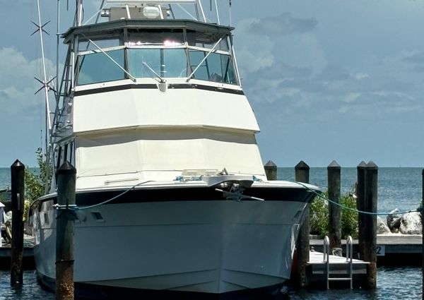 Hatteras 50-CONVERTIBLE image