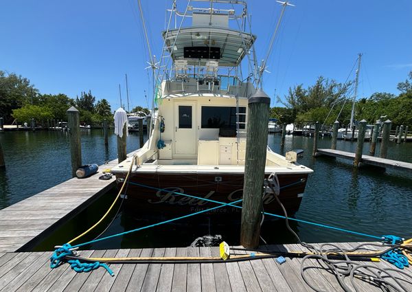 Hatteras 50-CONVERTIBLE image