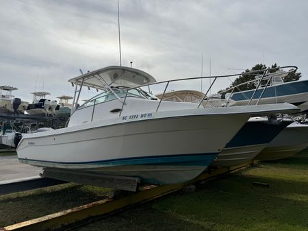 Cobia 230-WALK-AROUND image