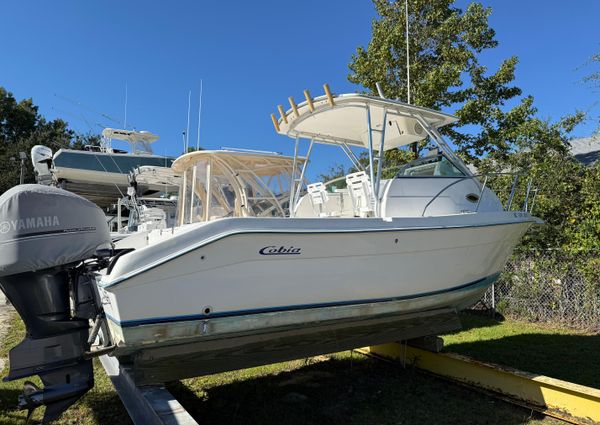 Cobia 230-WALK-AROUND image