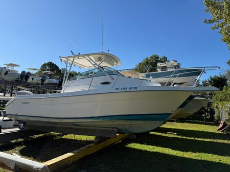 Cobia 230-WALK-AROUND image